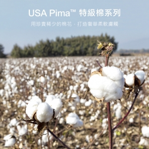 Pima Cotton 皮玛棉是极品特长绒棉（ELS）的统称