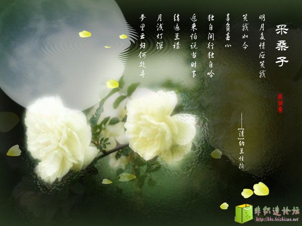 p_large_afO6_3f8c0001b6962d12.jpg
