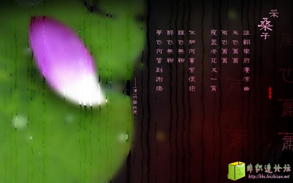 p_large_g3Bd_3f8e0002a89e2d12.jpg