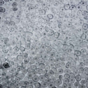 PrimaLoft Bio！一种可生物降解低熔体纤维实现了！